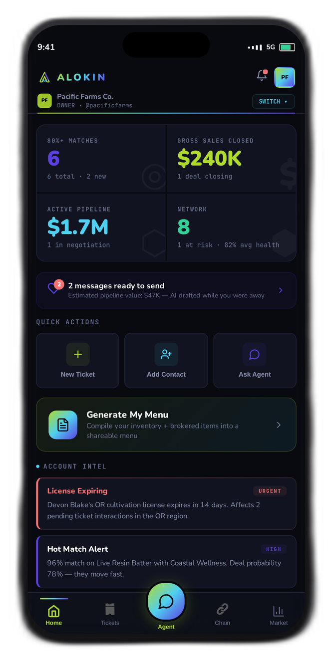Home dashboard — Alokin AI